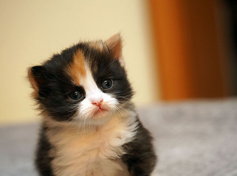 Ursina am 27. Januar 2026